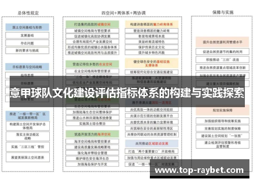 意甲球队文化建设评估指标体系的构建与实践探索