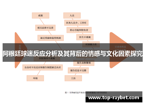 阿根廷球迷反应分析及其背后的情感与文化因素探究