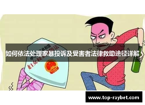 如何依法处理家暴投诉及受害者法律救助途径详解