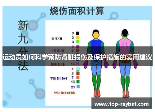 运动员如何科学预防肾脏损伤及保护措施的实用建议
