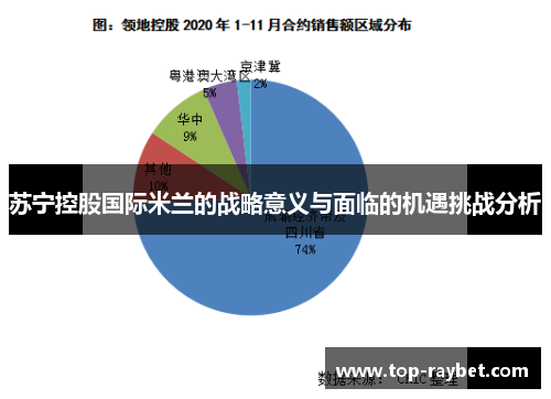 苏宁控股国际米兰的战略意义与面临的机遇挑战分析