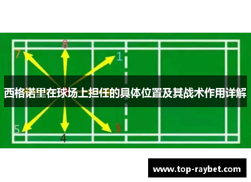 西格诺里在球场上担任的具体位置及其战术作用详解