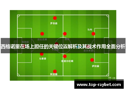 西格诺里在场上担任的关键位置解析及其战术作用全面分析